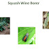 Organic pest control 