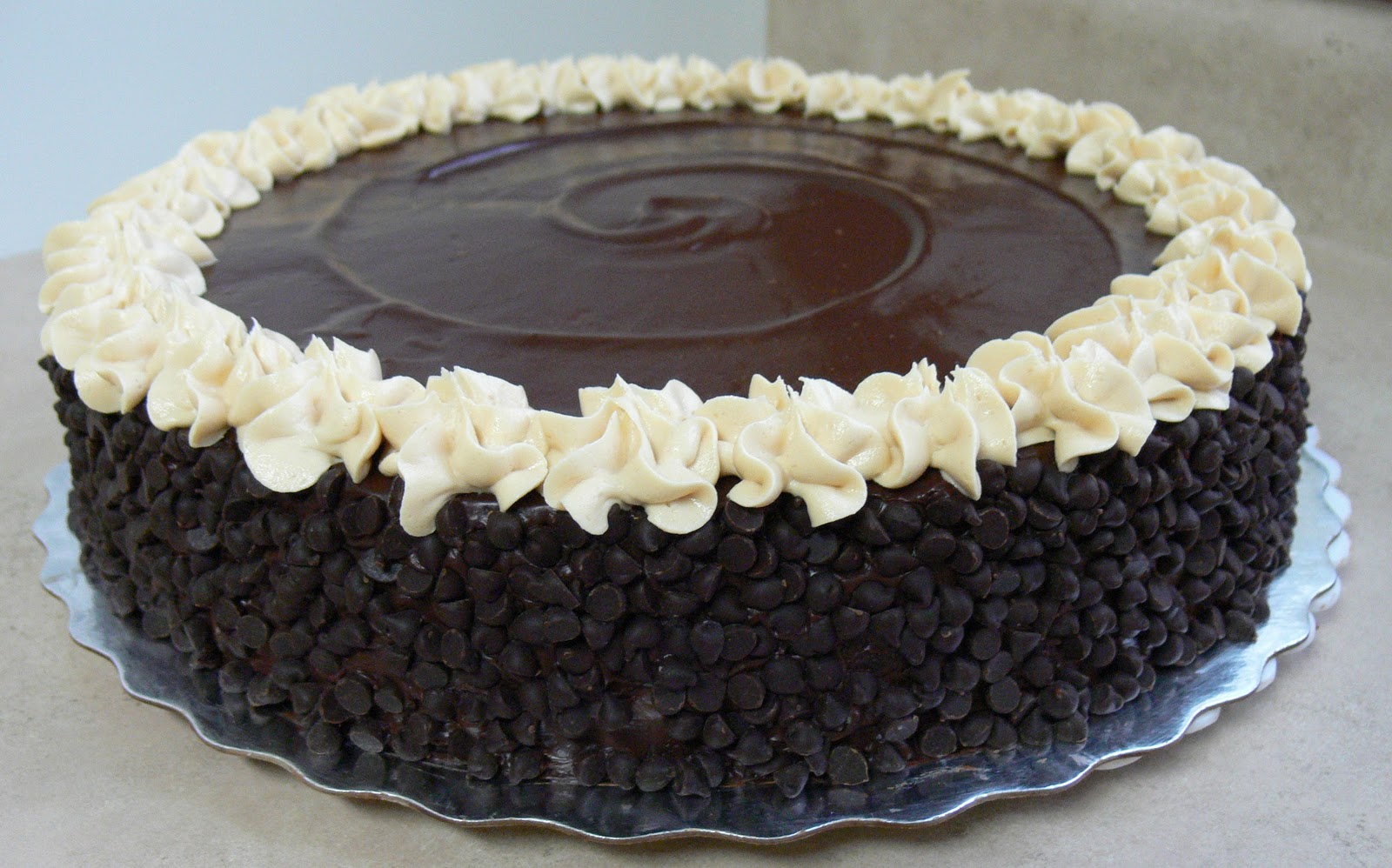 Chocolate Chip Cake