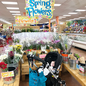 shopping at trader joe's