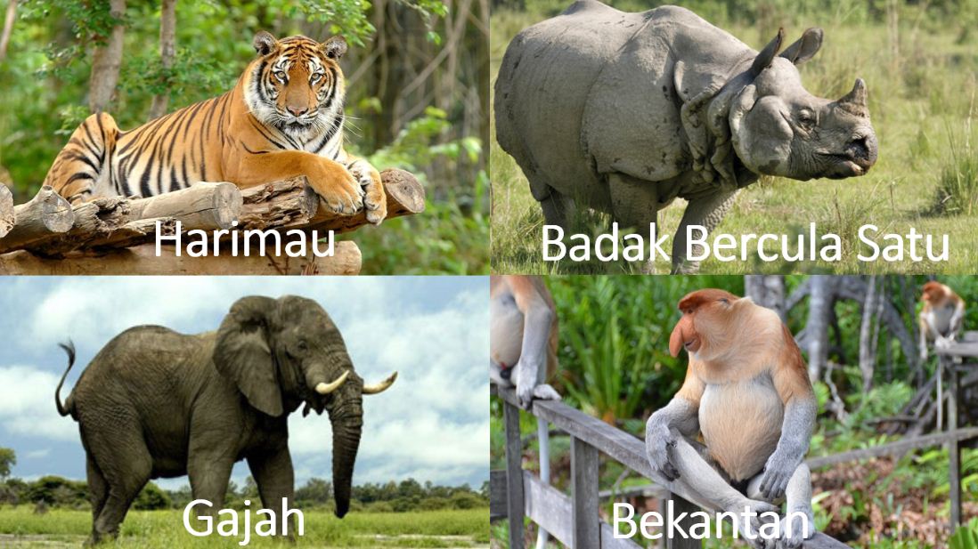 Persebaran Fauna Dunia GEOGRAPIK