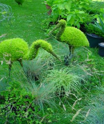 Superb Grass Art Stills