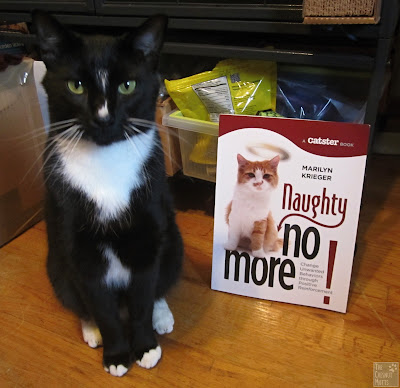 Mr. Kitty and the book Naughty no More by Marilyn Krieger