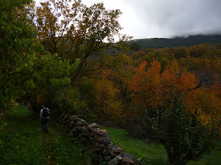 Descenso al río de la Puebla