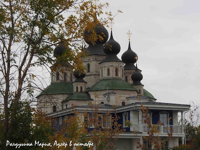 Дорога домой фото