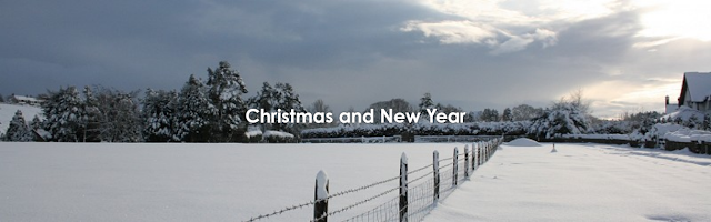 a photo of t asnoy lane under a bright blue sky with the text: Christmas and New Year