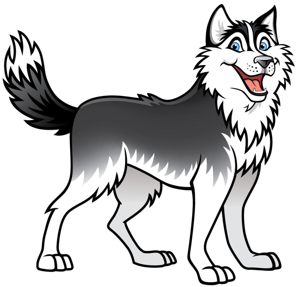 disegno di cane husky colorato