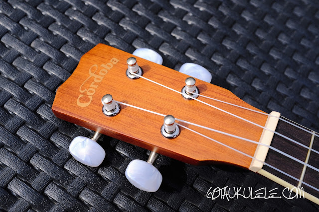 Codoba 15CM Ukulele headstock