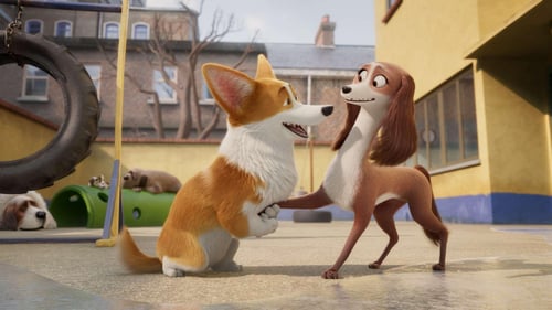 Royal Corgi 2019 papystreaming