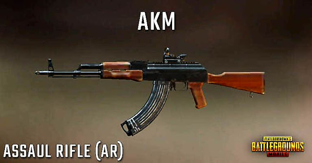 Pubg Gun-AKM