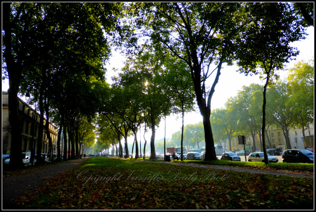 Avenue de Paris in Versailles