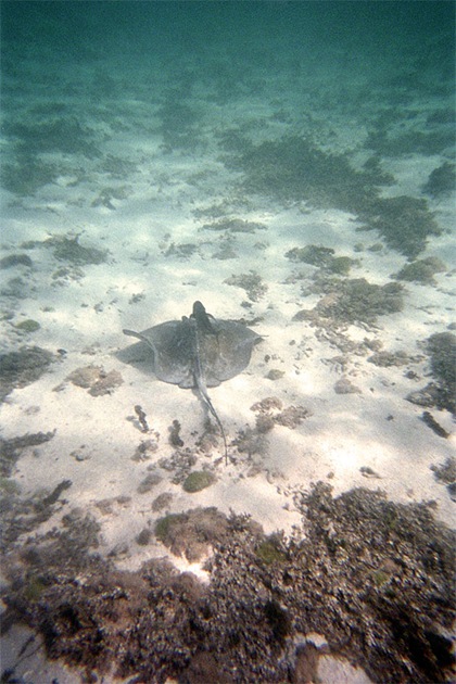 Image007_6A copy