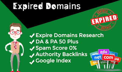 Expired Domain For Private Blog Network