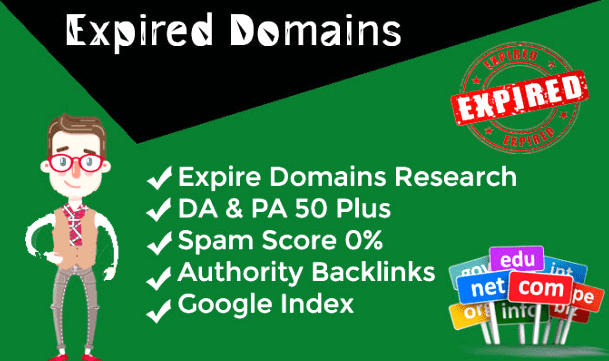 I Will Find PBN Expired Domains For You Within 24 Hours