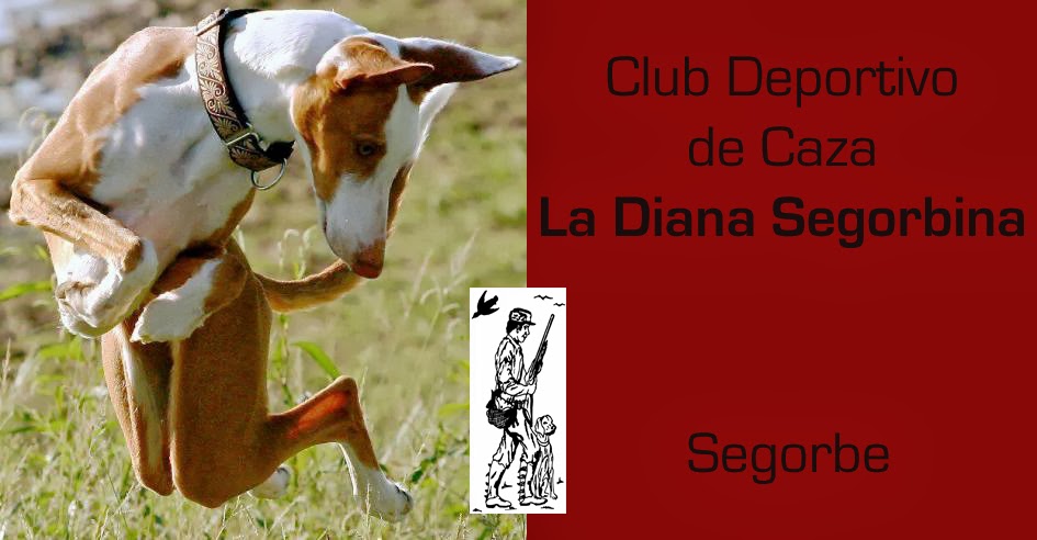 CLUB DEPORTIVO DE CAZA LA DIANA SEGORBINA