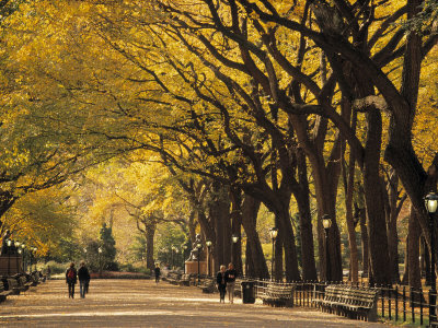 new york city pictures. central park new york fall