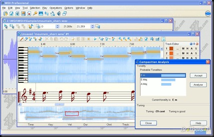 widi_recognition_system_professional-35517-1242109218