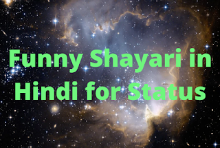 Funny Shayari in Hindi for Status