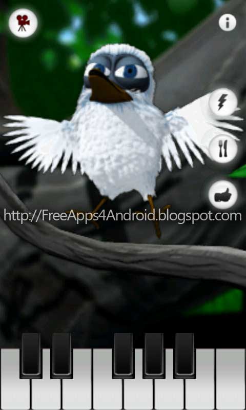 larry bird wallpapers. Talking Larry the Bird can whistle and talk. Talking Larry the Bird is your 