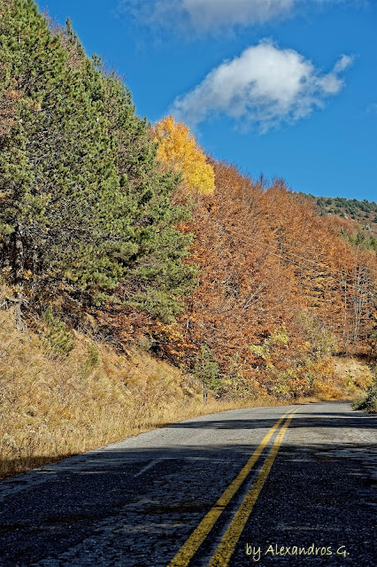 Autumn Colors (@Kaimaktsalan) - Χρώματα Φθινόπωρου (Καϊμακτσαλάν)