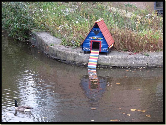 Gypsy Ducks