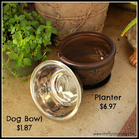 dog bowl, elevated dog bowl