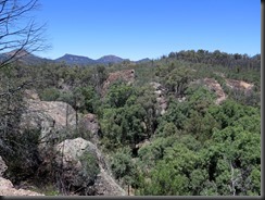 171107 118 Warrumbungles Wambelong Nature Trail