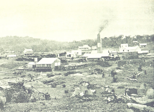 Tent Hill Tin-Smelting Works - Emmaville 1895