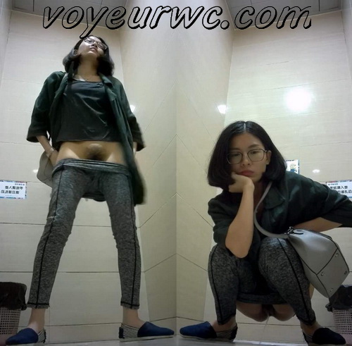 Hidden cam in the female toilet of a mall recording a lot of girls pissing (Shopping mall Toilet Pissing 06)