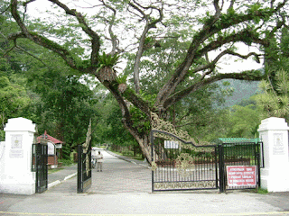 Taman Botanical | Kebun Bunga