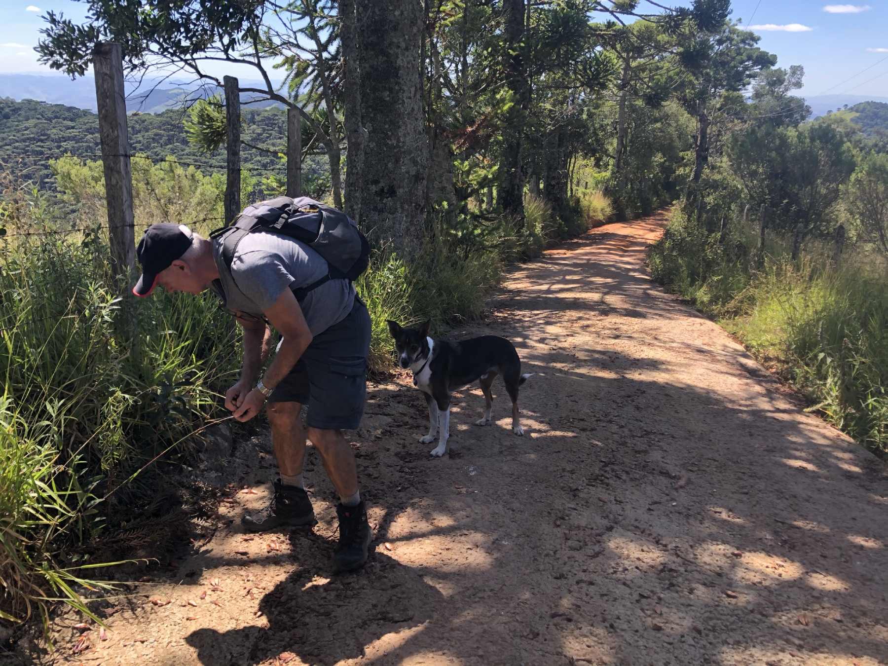 caminho para Pedra São Domingos