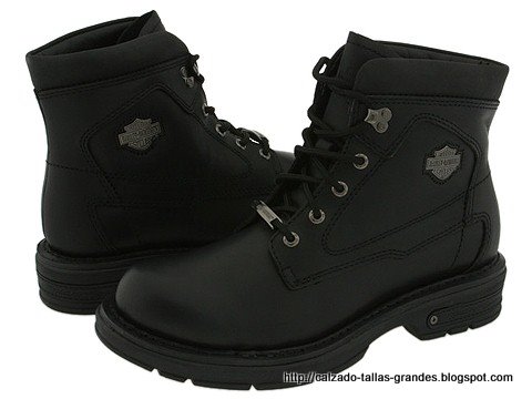 Calzado tallas grandes:grandes-779634