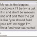 White Cat Meme Finna