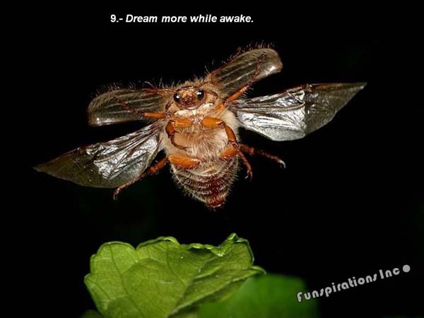 Dream more while awake.