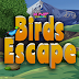 Knf Birds Escape