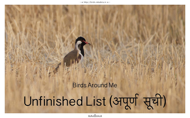 Birds Of The World - Unfinished List