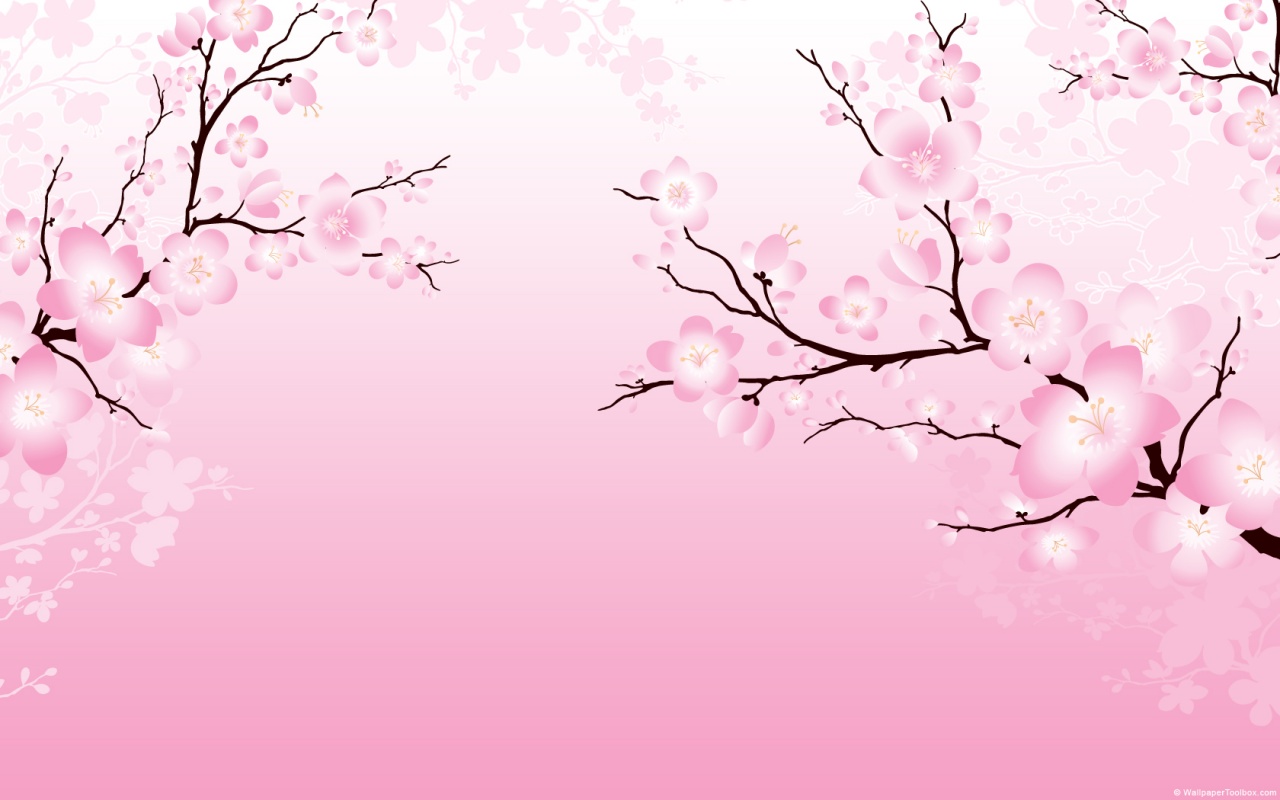 cherry blossom wallpaper on Cherry Blossom Wallpaper