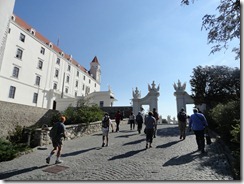 DSC01953
