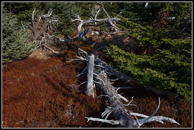 Gaff Point; Nova Scotia