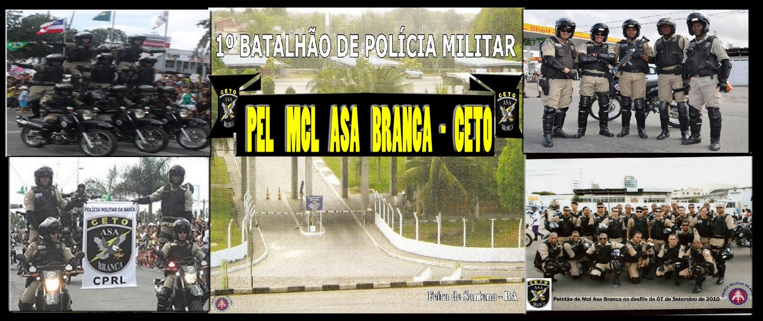 BLOG PEL ASA BRANCA