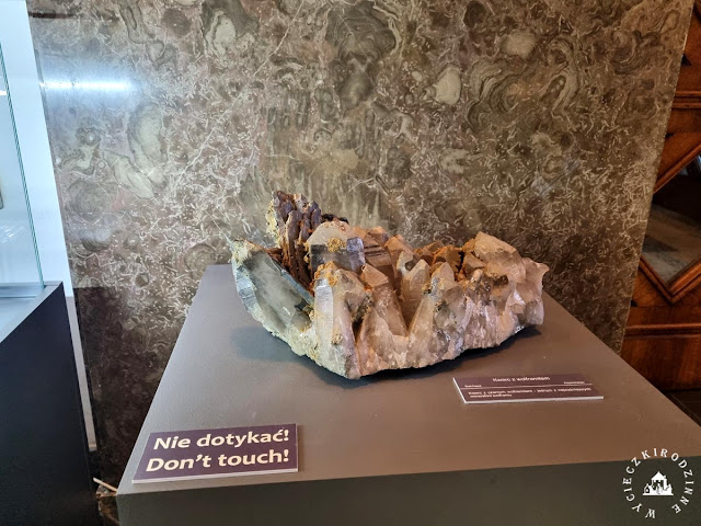 Na wystawie w Muzeum Geologicznym