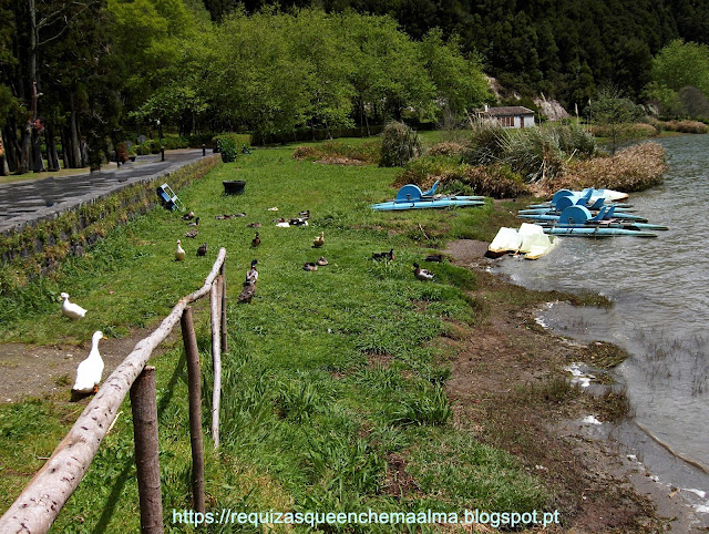 Lagoa das Furnas