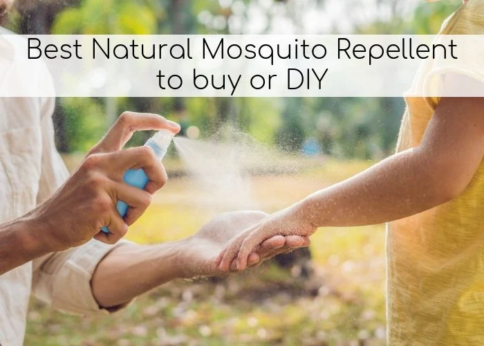 The best natural mosquito repellent. Use natural essential oils like citronella and peppermint for pest control and insects this summer. These are for skin, for dogs, for yard, for home, the patio or outdoors. Some are safe for kids, too. Find out where to buy them or get the DIY recipe ideas. Get tips for using natural bug repellent for camping or the backyards.  Includes sprays, candles, and more tips and ideas to repel bugs. #essentialoils #bugs #mosquitoes