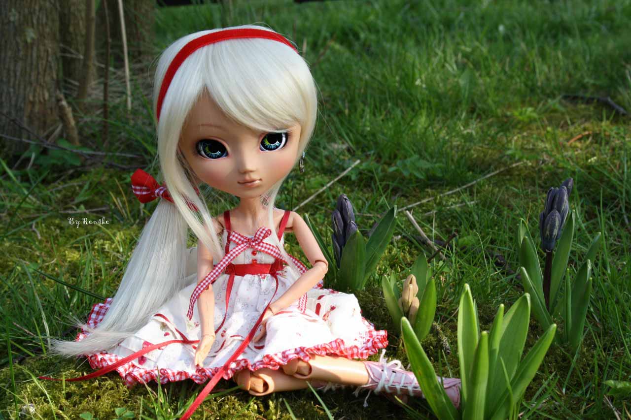 HD Wallpapers: Toys Doll Wallpapers