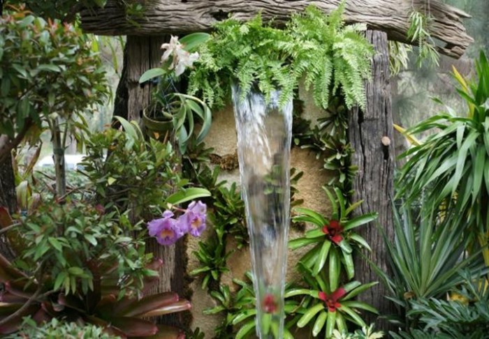 Tropical Garden Landscape Ideas Photograph | Tropical Garden