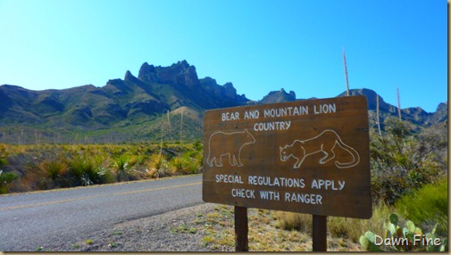 Big bend ride and birds_007