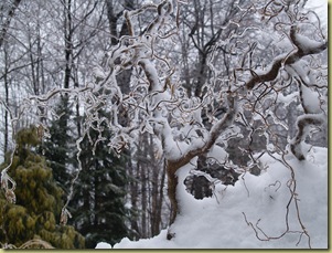 Feb 2011 snow 007