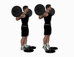 Standing barbell calf raise