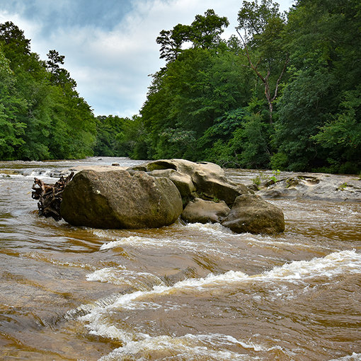 Yellow River Park | Photo: Travis Swann Taylor