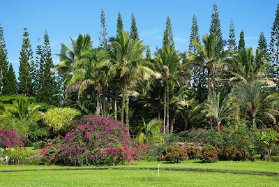 Nani Mau Gardens Hawaii Island