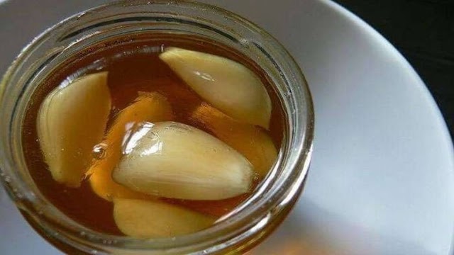 Khasiat Dan Manfaat Campuran Bawang Putih Dan Madu